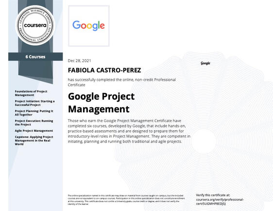 Google Project Management